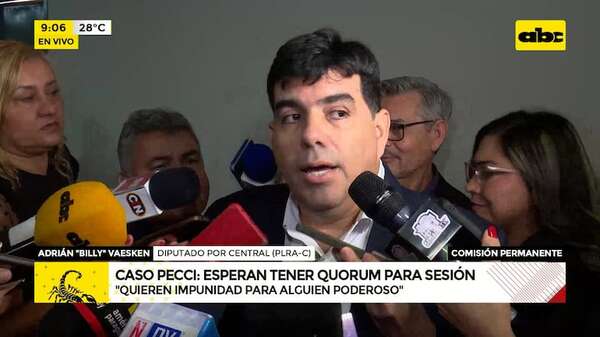 “Si no vienen es por algo”: cartismo busca impunidad en el caso Pecci, acusa diputado - ABC Noticias - ABC Color