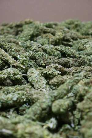 Paraguay da un paso histórico con la exportación de flores de cannabis industrial a Suiza - .::Agencia IP::.