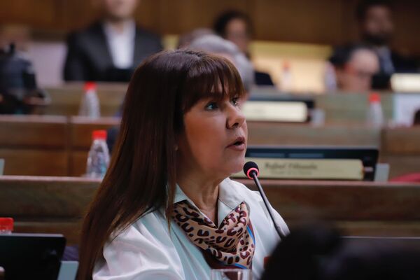 Senadora acusó a bancada HC de no querer transparentar el caso Marcelo Pecci - 1000 Noticias
