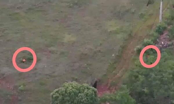 Con ayuda de un dron detienen a hermanos con frondosos antecedentes en Caaguazú – Prensa 5