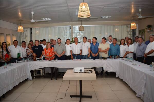 Intendentes están de acuerdo con unificar sistema para pago de patente de rodados, pero no con los costos