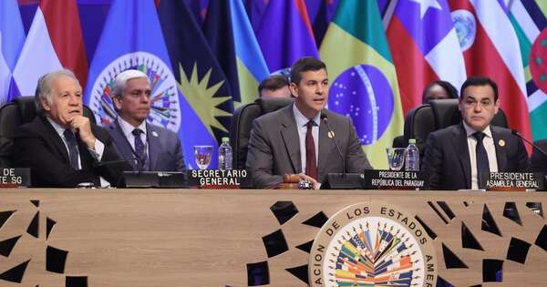 La Nación / Paraguay trabaja fuertemente en candidatura para encabezar la OEA, afirma vocero