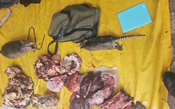 Video: incautan carne de animales silvestres en Villeta - Policiales - ABC Color