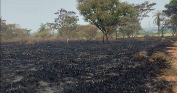 Diario HOY | Sorprenden a un hombre quemando troncos en un predio donde días antes hubo un incendio