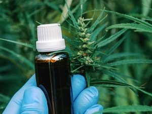 Paraguay exporta cannabis premium a Suiza