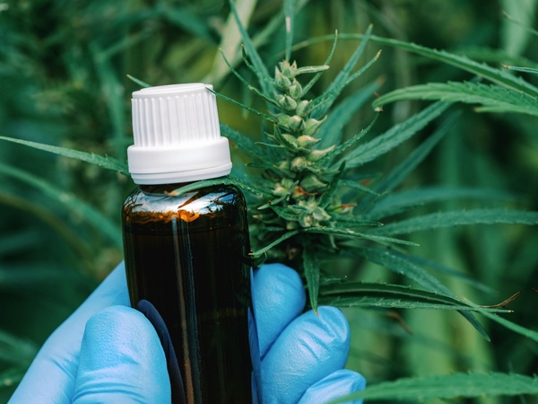 Paraguay exporta cannabis premium a Suiza