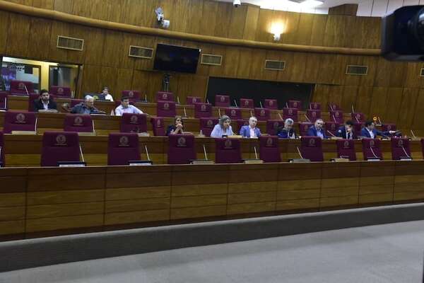 Cartistas y aliados boicotean sesión para evitar hablar sobre fiscal Marcelo Pecci - Política - ABC Color