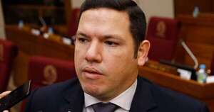 La Nación / Diputado presenta proyecto para derogar ley de patente vehicular