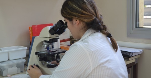 Paraguay tiene 707 investigadores categorizados a nivel nacional