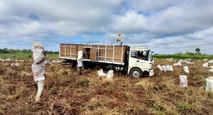 FAO reconoce y celebra la gestión  del INDERT en el desarrollo rural