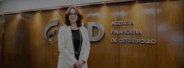 Superar barreras de acceso al crédito: “Acompañar con una garantía ya es una innovación importante dentro del mercado financiero” - MarketData