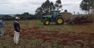 Déficit hídrico y vientos del sector sur complican el rendimiento de cultivos en zafra