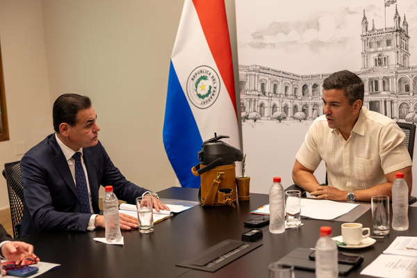 Paraguay viene trabajando fuertemente en candidatura para encabezar la OEA, afirma vocero