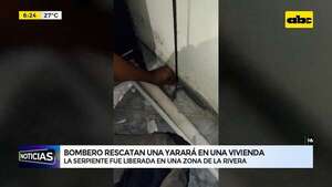 Mariano R. Alonso: bomberos rescatan una yarará de una vivienda   - ABC Noticias - ABC Color