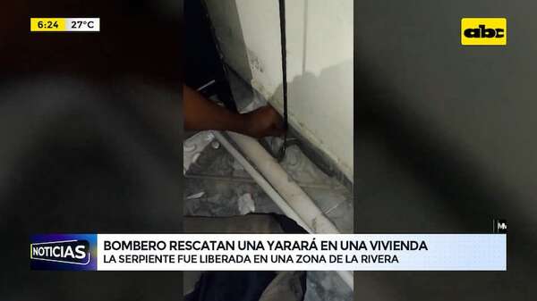 Mariano R. Alonso: bomberos rescatan una yarará de una vivienda - ABC Noticias - ABC Color