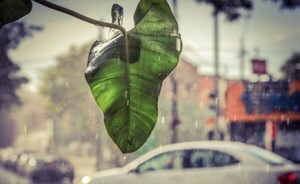 Pronostican día cálido con lluvias y tormentas eléctricas