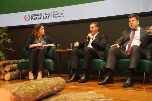 Infona impulsa el desarrollo forestal sostenible en Paraguay a través de una política participativa