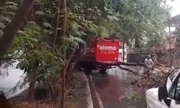 (VIDEO) Árbol cayó sobre vehículo que circulaba durante la lluvia en Asunción