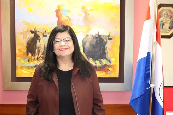 Aclaran que las cooperaciones internacionales no imponen su criterio a la Corte - Judiciales.net