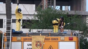 Cuerpo de Bomberos Voluntarios anuncia Colonias de Vacaciones estilo carnaval en Encarnación