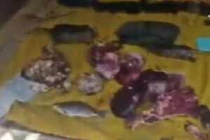 Aprehenden a tres personas por abigeato y contrabando en Villeta - SNT