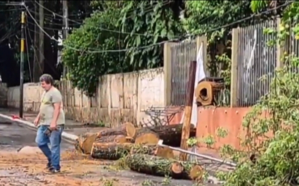 Tormenta tumbó árbol y mujer quedó herida