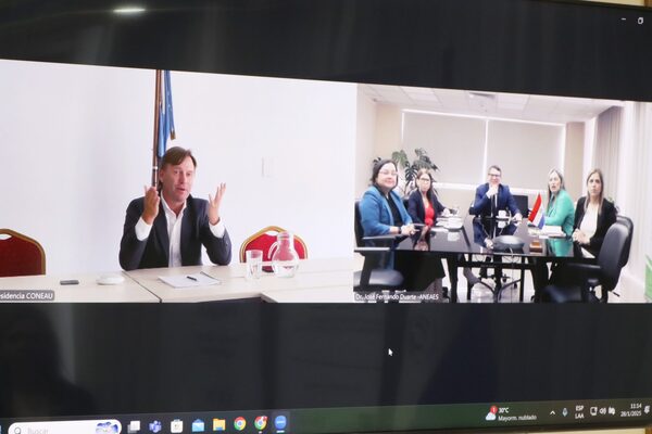 ANEAES y CONEAU fortalecen lazos para mejorar la educación superior en la región - El Trueno