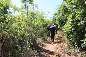 Cómo una comunidad indígena enfrenta la crisis ambiental y protege la yerba mate - Especiales - ABC Color