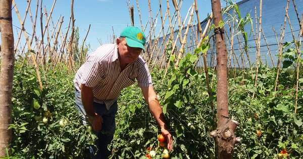La Nación / Sequía: incentivarán a productores en prácticas conservacionistas para el suelo y agua
