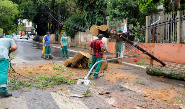 Árbol caído durante tormenta hirió a madre e hija en Asunción - Noticiero Paraguay