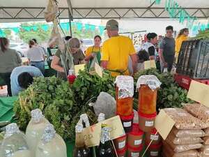Ferias de Agricultura Familiar movilizaron más de 76.500 millones en 2024: estos fueron los productos más solicitados - Economía - ABC Color