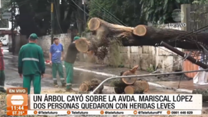 Árbol que cayó sobre la Avda. Mariscal López hirió a dos personas