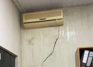 Video: lluvias inundan la Junta Municipal de Capitán Bado y su presidente dice que es “un salto más” - Nacionales - ABC Color