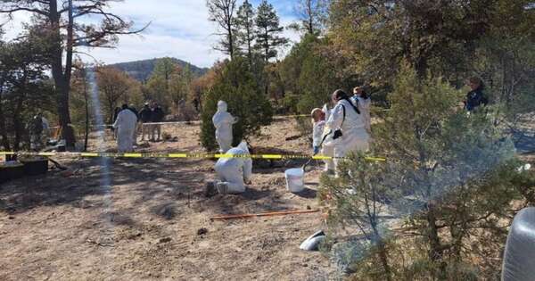 Diario HOY | Hallan más de 70 cadáveres en fosas clandestinas en el norte de México