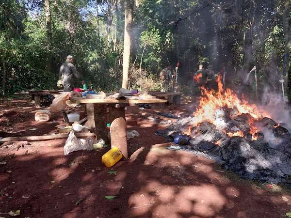 Operativo “Rafaelo”: Senad y FTC ingresan a la reserva San Rafael para destruir cultivos de marihuana - Policiales - ABC Color