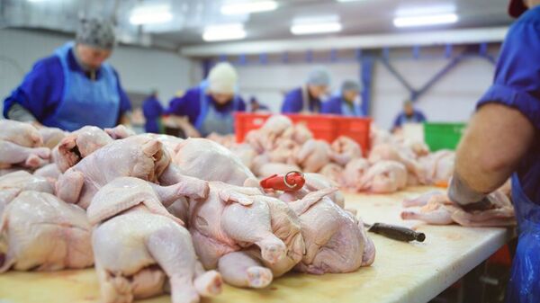 Estos son los países que mejor pagan por la carne aviar paraguaya | Agronegocios | 5Días