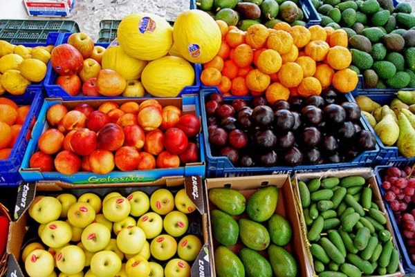¿Qué frutas y verduras se le pueden dar a un perro?
