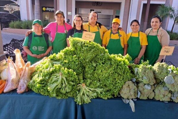 Ferias de agricultura familiar recaudaron casi USD 10 millones en 2024, resalta el MAG - MarketData