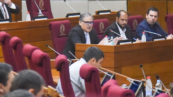 Ministra hizo el vacío al Congreso y desató fuertes críticas