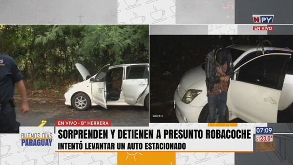 Atrapan in fraganti a un robacoches en barrio Herrera