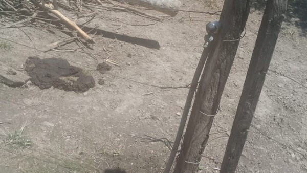 Niño muere por descarga eléctrica mientras jugaba en el patio de su casa en Misiones