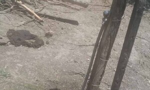 Niño muere por descarga eléctrica mientras jugaba en el patio de su casa en Misiones – Prensa 5