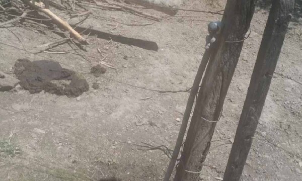 Niño muere por descarga eléctrica mientras jugaba en el patio de su casa en Misiones – Prensa 5