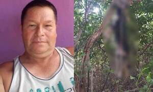 Crueldad animal: Perro murió tras ser colgado por un árbol en Coronel Oviedo – Prensa 5