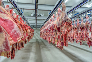 Carne: auditoría de Corea del Sur que iniciará en febrero permitirá exportación de cortes premium