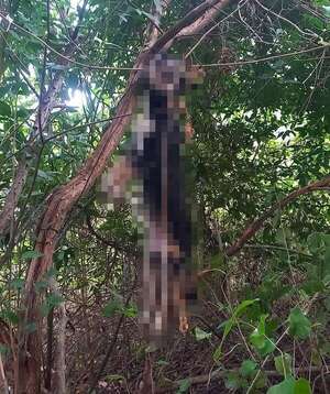 Matan a perrita colgándola de un árbol: Fiscalía ordenó detención de presunto autor - Policiales - ABC Color