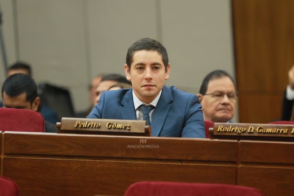 Ley de patente vehicular: diputado urge una revisión inmediata - ADN Digital