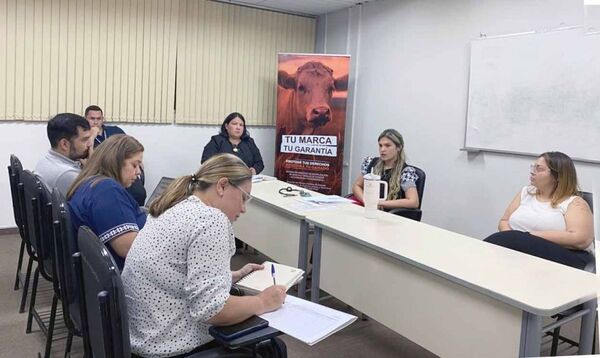 Reunión de trabajo de representantes de Marcas y Señales y Senacsa