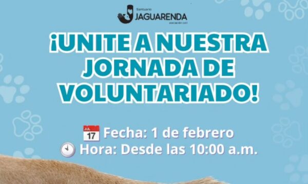 Invitan a ser voluntario por un día en “Jaguarenda”
