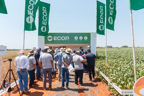 Ecop aportó fertilización en la parcela demostrativa de la Cooperativa Bergthal